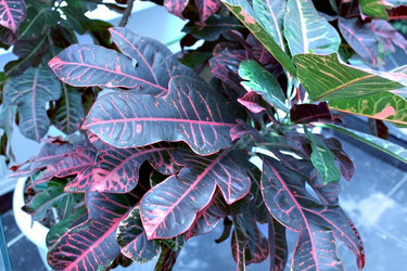 Similar image 1019691