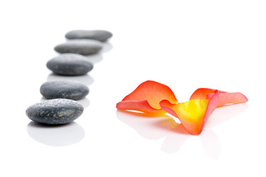 Similar image 1019695