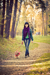 Similar image 1019731