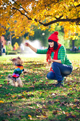 Similar image 1019733