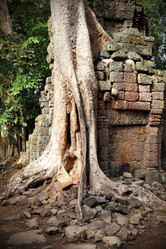 Similar image 1019746