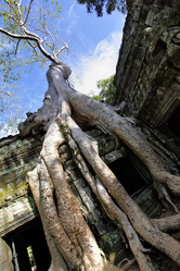 Similar image 1019747