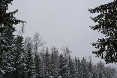 Similar image 1019759