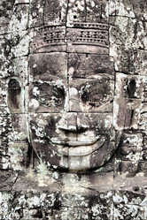 Similar image 1019774