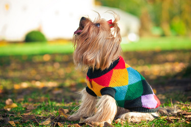 Similar image 1019784