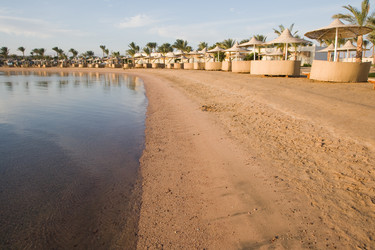 Similar image 1019787