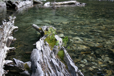 Similar image 1019789