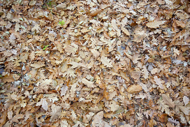 Similar image 1019803