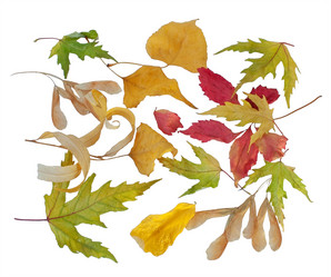 Similar image 1019808