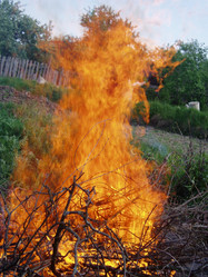 Similar image 1019824