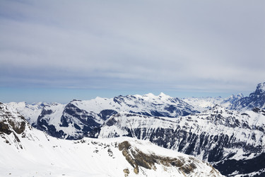 Similar image 1019825