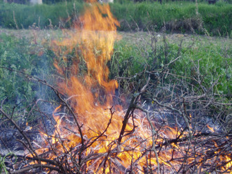 Similar image 1019829