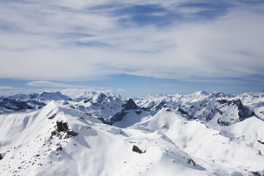 Similar image 1019832