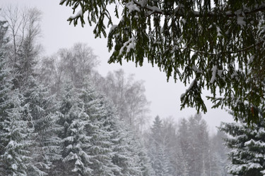 Similar image 1019848