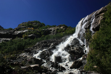 Similar image 1019853