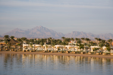 Similar image 1019865