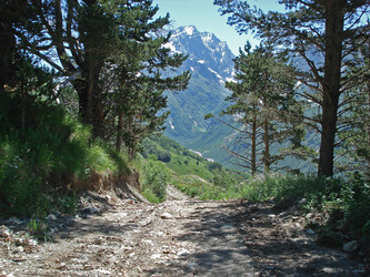 Similar image 1019883