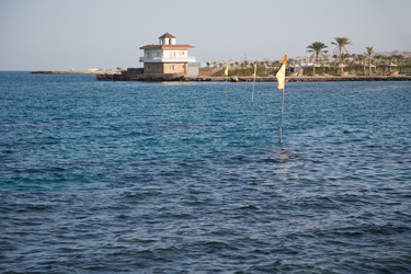 Similar image 1019886