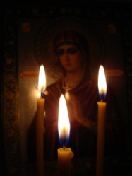 Similar image 1019894