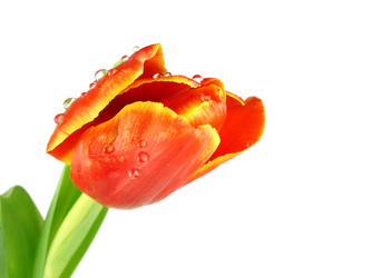 Similar image 1019899