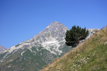 Similar image 1019958