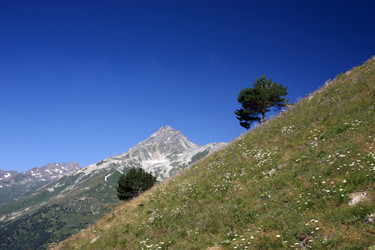 Similar image 1019961