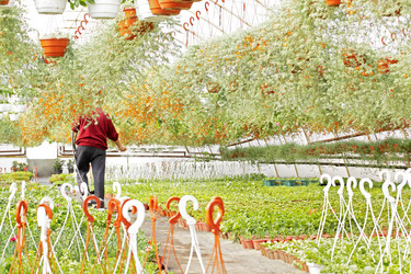 Similar image 1019966