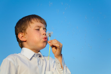 Similar image 1020056