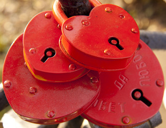 Similar image 1020063