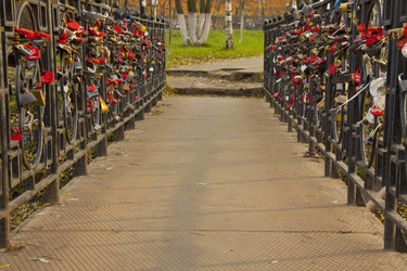 Similar image 1020064