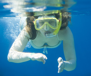 Similar image 1020084