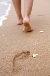 Similar image 1020087