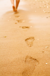 Similar image 1020096