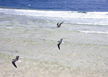 Similar image 1020118