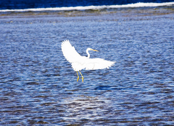 Similar image 1020123