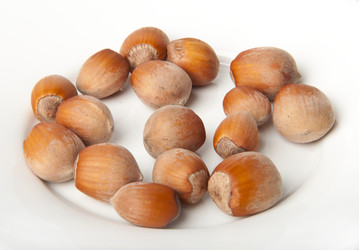 Similar image 1020168