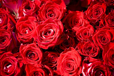 Similar image 1020174