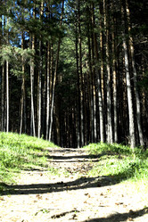 Similar image 1020191