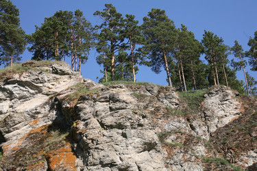 Similar image 1020202