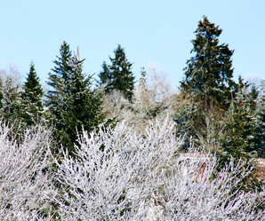 Similar image 1020254