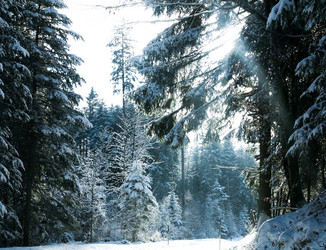 Similar image 1020255