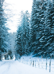 Similar image 1020256