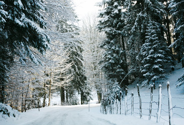 Similar image 1020257