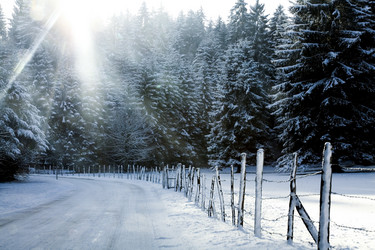 Similar image 1020267