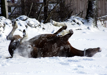 Similar image 1020275