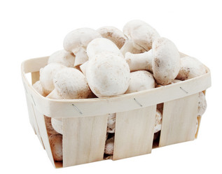 Similar image 1020278