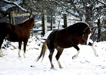 Similar image 1020281