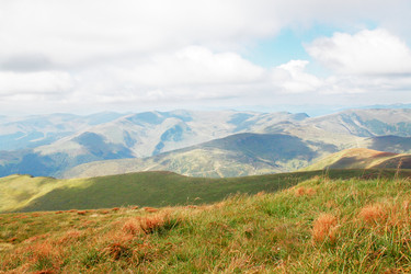 Similar image 1020283