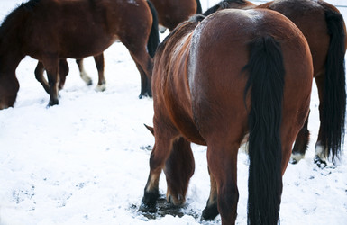 Similar image 1020288