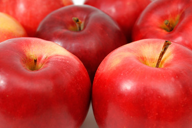 Similar image 1020301